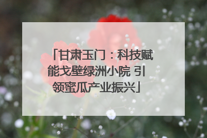 甘肃玉门：科技赋能戈壁绿洲小院 引领蜜瓜产业振兴